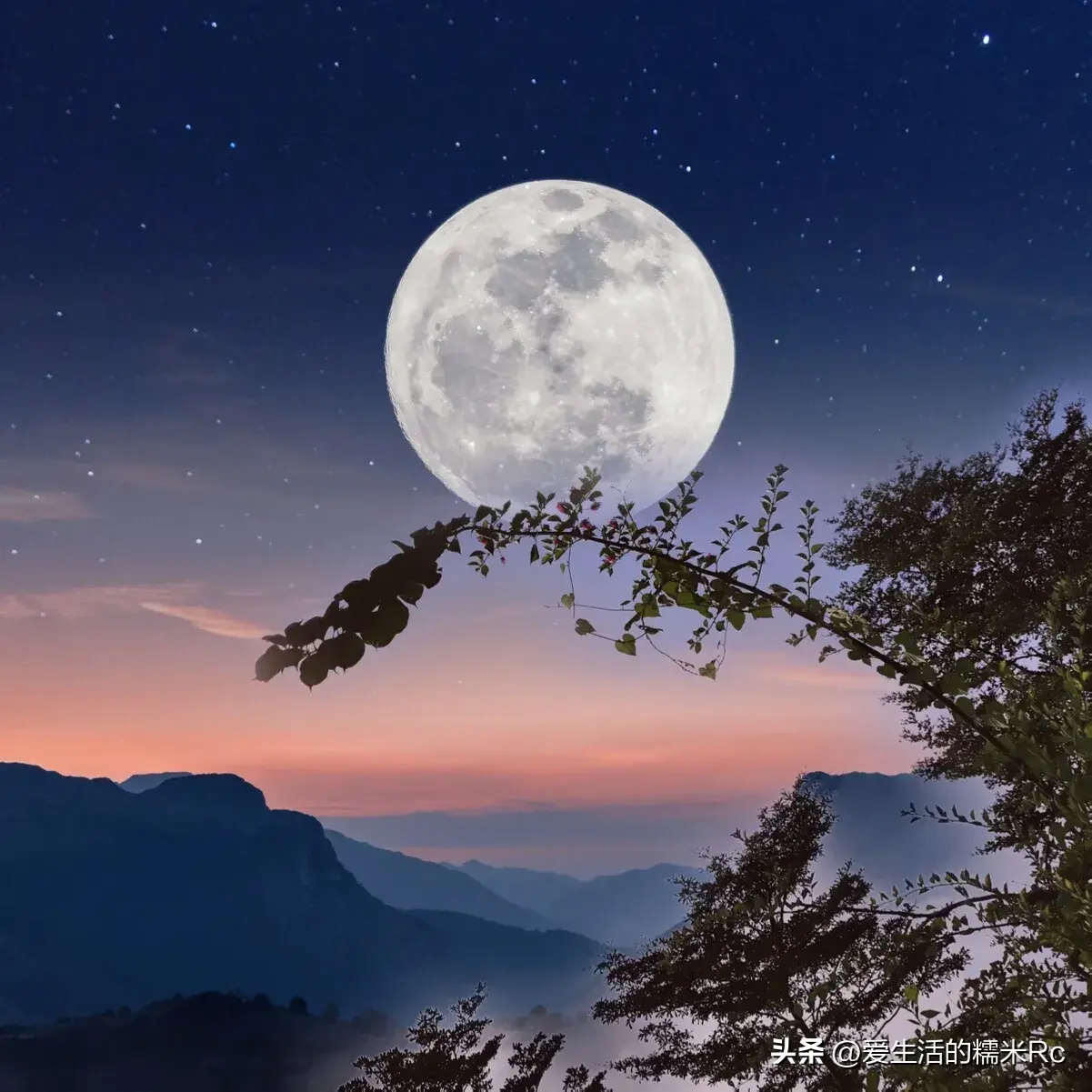 月是故乡明出自哪一首诗原句是什么（月是故乡明的全诗内容）