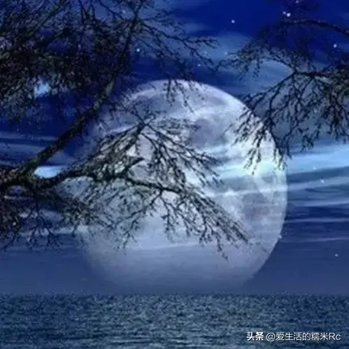 月是故乡明出自哪一首诗原句是什么（月是故乡明的全诗内容）